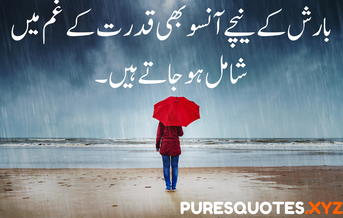 20 Best Rain Quotes